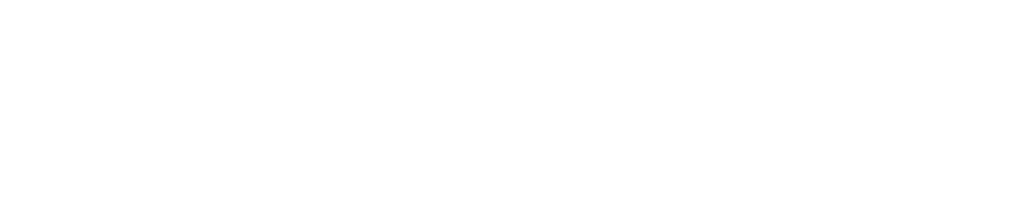 Boston Portfolio Advisors logo in white